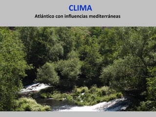 CLIMA
Atlántico con influencias mediterráneas
 