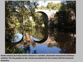 Ponte romana do Freixo (entre Celanova e Cartelle). Declarada monumento histórico-
artístico. Por ela pasaba un dos ramais secundarios da Vía romana XVIII do Itinerario
Antonino.
 