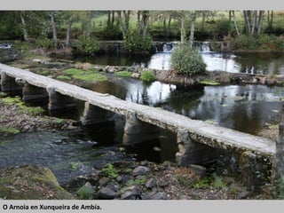 O Arnoia en Xunqueira de Ambía.
 