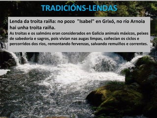 TRADICIÓNS-LENDAS
Lenda da troita raíña: no pozo "Isabel" en Grixó, no río Arnoia
hai unha troita raíña.
As troitas e os salmóns eran considerados en Galicia animais máxicos, peixes
de sabedoría e sagros, pois vivian nas augas limpas, coñecían os ciclos e
percorridos dos ríos, remontando fervenzas, salvando remuiños e correntes.
 
