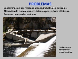PROBLEMAS
Contaminación por resíduos urbáns, industriais e agrícolas.
Alteración do curso e dos ecosistemas por centrais eléctricas.
Presenza de especies exóticas.
Escalas para os
peicxes nunha
central eléctrica.
 