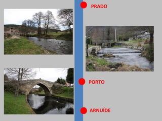 PRADO
ARNUÍDE
PORTO
 