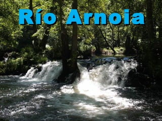 Río ArnoiaRío Arnoia
 