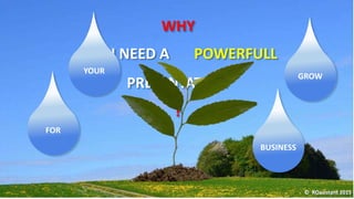YOU NEED A POWERFULL
PRESENTATION
© ROasistant 2015
WHY
?
FOR
YOUR
BUSINESS
GROW
 