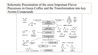 Schematic Presentation of the most Important Flavor
Precursors in Green Coffee and the Transformation into key
Aroma Compounds
 