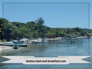 Roatan-bed-and-breakfast.com
 