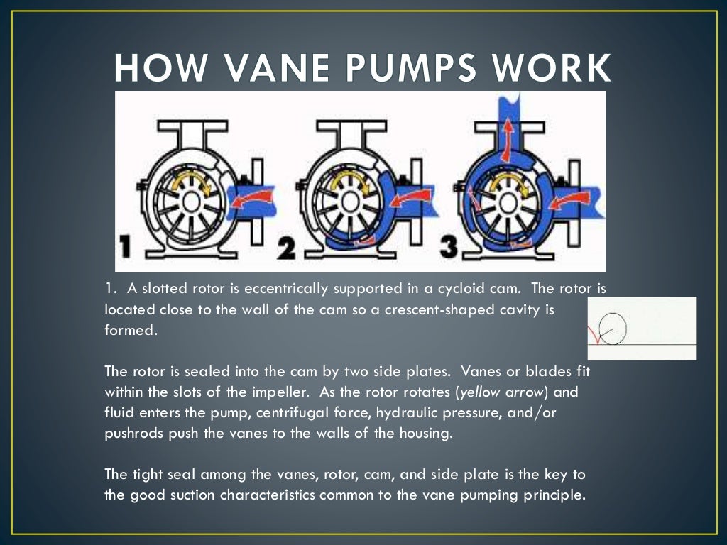 Rotary Vane Pump