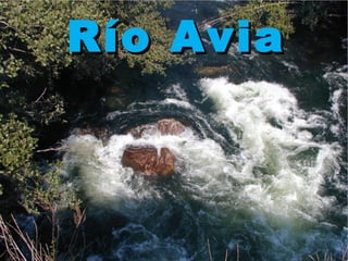 Río AviaRío Avia
 
