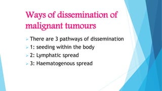 Ways of dissemination of
malignant tumours
 There are 3 pathways of dissemination
 1: seeding within the body
 2: Lymphatic spread
 3: Haematogenous spread
 
