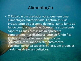 Alimentação
• O Robalo é um predador voraz que tem uma
alimentação muito variada. Captura as suas
presas tanto de dia como de noite, tanto junto ao
fundo como à superfície. Consoante a zona onde
captura as suas presas assim apresenta
comportamentos distintos: junto ao fundo fica
junto a zonas de redemoinhos ou com
correntes, capturando o alimento contra-
corrente; perto da superfície ataca, em grupo, os
cardumes de peixes pelágicos.
 