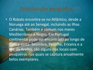 Distribuição geográfica
• O Robalo encontra-se no Atlântico, desde a
Noruega até ao Senegal, incluindo as Ilhas
Canárias. Também é comum nos mares
Mediterrâneo e Negro. Em Portugal
continental pode ser encontrado ao longo de
toda a costa. Sesimbra, Peniche, Ericeira e a
Foz do Arelho, são alguns dos locais com
pesqueiros nos quais se captura anualmente
belos exemplares.
 