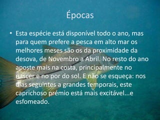 Épocas
• Esta espécie está disponível todo o ano, mas
para quem prefere a pesca em alto mar os
melhores meses são os da proximidade da
desova, de Novembro a Abril. No resto do ano
aposte mais na costa, principalmente no
nascer e no por do sol. E não se esqueça: nos
dias seguintes a grandes temporais, este
caprichoso prémio está mais excitável...e
esfomeado.
 