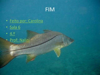 FIM
• Feito por: Carolina
• Sala 6
• 4.º
• Prof: Nalini
 