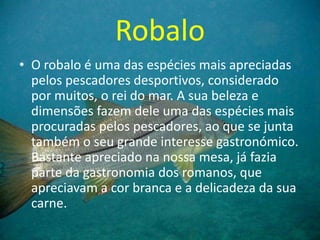 Robalo
• O robalo é uma das espécies mais apreciadas
pelos pescadores desportivos, considerado
por muitos, o rei do mar. A sua beleza e
dimensões fazem dele uma das espécies mais
procuradas pelos pescadores, ao que se junta
também o seu grande interesse gastronómico.
Bastante apreciado na nossa mesa, já fazia
parte da gastronomia dos romanos, que
apreciavam a cor branca e a delicadeza da sua
carne.
 