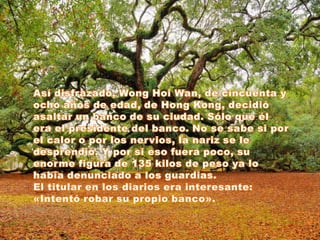 Así disfrazado, WongHoiWan, de cincuenta y ocho años de edad, de Hong Kong, decidió asaltar un banco de su ciudad. Sólo que él era el presidente del banco. No se sabe si por el calor o por los nervios, la nariz se le desprendió. Y por si eso fuera poco, su enorme figura de 135 kilos de peso ya lo había denunciado a los guardias.El titular en los diarios era interesante: «Intentó robar su propio banco».