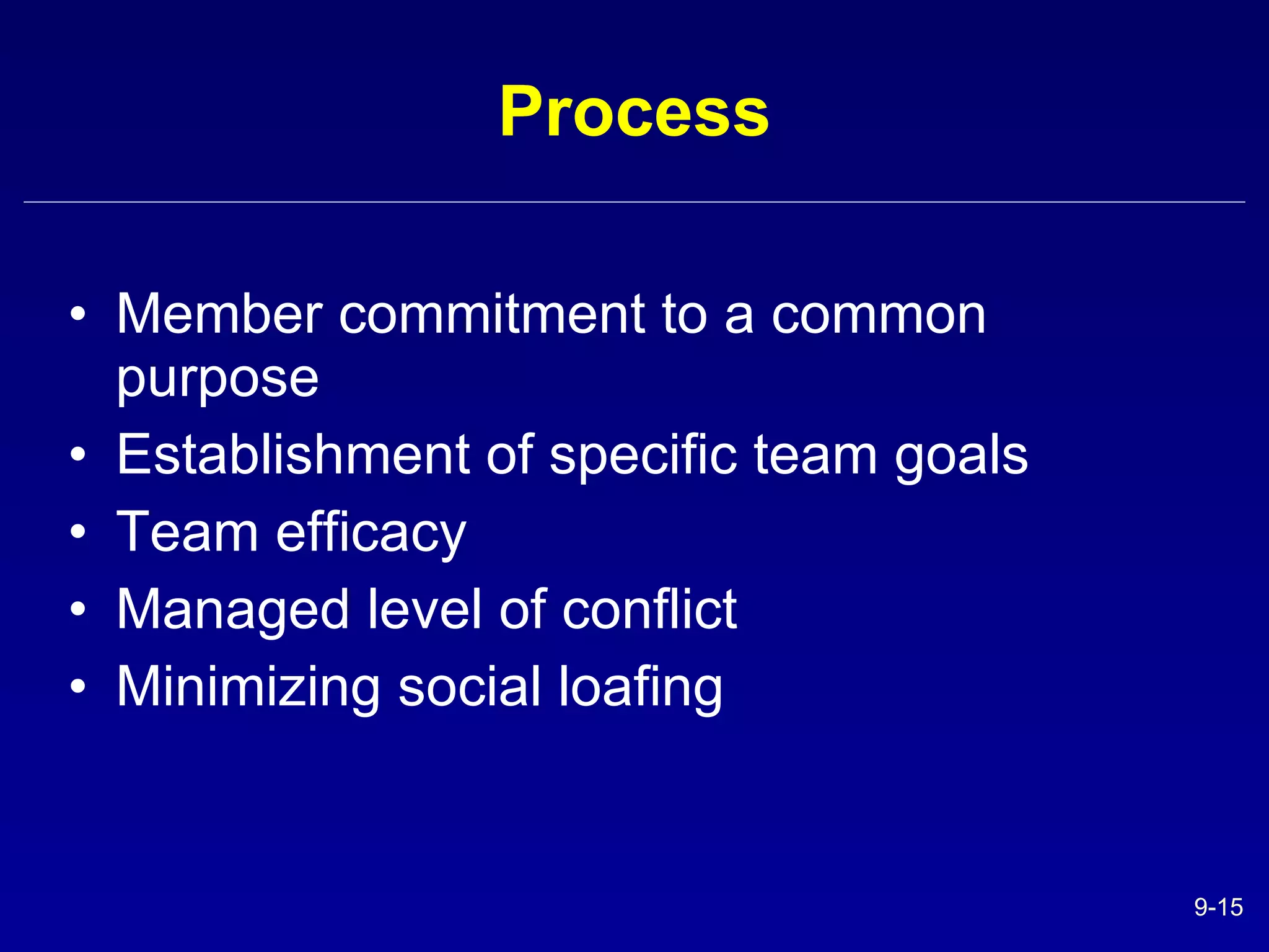 Process Member commitment to a common purpose Establishment of specific team goals Team efficacy Managed level of conflict Minimizing social loafing  
