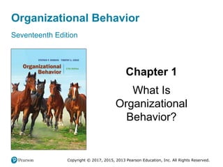 Organizational Behavior
Seventeenth Edition
Chapter 1
What Is
Organizational
Behavior?
Copyright © 2017, 2015, 2013 Pearson Education, Inc. All Rights Reserved.
 