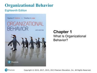 Organizational Behavior
Eighteenth Edition
Chapter 1
What Is Organizational
Behavior?
Copyright © 2019, 2017, 2015, 2013 Pearson Education, Inc. All Rights Reserved.
 