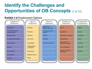 Identify the Challenges and
Opportunities of OB Concepts (1 of 12)
Exhibit 1-4 Employment Options
 