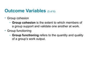 Outcome Variables (5 of 6)
• Group cohesion
– Group cohesion is the extent to which members of
a group support and validate one another at work.
• Group functioning
– Group functioning refers to the quantity and quality
of a group’s work output.
 