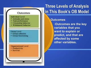 Three Levels of Analysis
                                     in This Book’s OB Model
                                       •Outcomes
                                          •Outcomes are the key
                                          variables that you
                                          want to explain or
                                          predict, and that are
                                          affected by some
                                          other variables.




Copyright © 2013 Pearson Education
 
