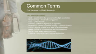 Common Terms
The Vocabulary of DNA Research
• Allele – specific form of a gene; one of multiple possibilities
• Chromosomes – structure housing genes
• Gene – unit of heredity
• Genome – collection of genes in an organism
• Haplogroup – genetic population sharing a common ancestor
• Locus – physical location of an allele on a chromosome
• Marker – place on a chromosome with 2 or more forms
• MRCA – most recent common ancestor
• Phylotree – diagram showing multiple haplogroups
DNA Research Glossary
 