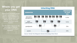 Where you get
your DNA
Each of your ancestors passes
down a percentage of their
DNA in unique combinations.
Different siblings may inherit
different alleles from their
parents, resulting in great
variation.
Use this chart to figure out the
percentage of DNA you
inherited from each of your
ancestors.
 