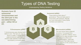 Types of DNA Testing
Understanding Testing Variations
B C
A
Y chromosomes pass directly from
father to son. This test can only be
done on males. It shows direct
paternal descent and origins of
ancient male relatives. It can often
accompany a surname study.
Y-Chromosome (yDNA)
This test traces direct maternal
ancestors. It is passed from
mothers to all their children. It is a
useful tool for deep ancestry. It can
help determine ethnic and
geographic origins. Used with
atDNA tests it can help narrow
down matches to the correct side of
the family tree.
Mitochondrial (mtDNA)
These tests go back about 7
generations. They are best used in
conjunction with research. Results
are more informative if other family
members are tested too.
Autosomal (atDNA)
Humans have 22
autosomal
chromosomes and
the 23rd pair is the
sex-determining
pair – either XX or
XY.
 