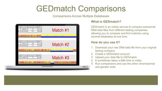 GEDmatch Comparisons
Comparisons Across Multiple Databases
What is GEDmatch?
GEDmatch is an online service to compare autosomal
DNA data files from different testing companies,
allowing you to compare and find matches using
several databases at one time.
How do you use it?
1. Download your raw DNA data file from your original
testing company
2. Create a GEDmatch account
3. Upload your data file to GEDmatch
4. It sometimes takes a little time to index
5. Run comparisons and use the other chromosomal
and genetic tools
 