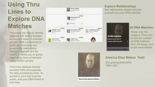 Hover over the
image in ThruLines
to see the number
of DNA matches,
their cM range, and
to get more details
28 DNA Matches
2nd great-grandmother
1850-1921
America Eliza Waters Todd
See relationship details between
yourself and your DNA matches
Explore RelationshipsUsing Thru
Lines to
Explore DNA
Matches
ThruLines can help to identify
relatives with barely existant
or incorrect trees. It matches
up your DNA connections to
particular ancestors and
predicts the relationship
between yourself and the
match. It allows you to group
matches by lines of descent
using custom groups.
ThruLines replaces shared
ancestor hints and expands
the data provided by hints. To
access it, your tree must be
public, and your DNA linked to
your tree.
 