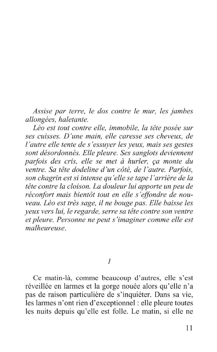 Premier Chapitre De Robe De Marie De Pierre Lemaitre