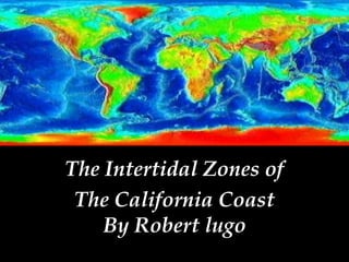The Intertidal Zones of The California CoastBy Robert lugo 