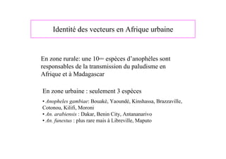 Identité des vecteurs en Afrique urbaine


En zone rurale: une 10aine espèces d’anophèles sont
responsables de la transmission du paludisme en
Afrique et à Madagascar

En zone urbaine : seulement 3 espèces
• Anopheles gambiae: Bouaké, Yaoundé, Kinshassa, Brazzaville,
Cotonou, Kilifi, Moroni
• An. arabiensis : Dakar, Benin City, Antananarivo
• An. funestus : plus rare mais à Libreville, Maputo
 