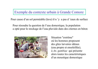 Exemple du contexte urbain à Grande Comore
Pour cause d’un sol perméable (lave) il n ’y a pas d ’eaux de surface

 Pour résoudre la question de l’eau domestique, la population
 a opté pour le stockage de l’eau pluviale dans des citernes en béton


                                    Situation "extrême"
                                    où les hommes proposent
                                    des gîtes larvaires idéaux
                                    (eau propre et ensoleillée),
                                    à An. gambiae qui présente
                                    alors toutes les caractéristiques
                                    d’un moustique domestique
 
