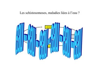 #                                            $        >



                          =4: : 3



       8( 92 2 49
            : 2                         8( 92 2 49
                                               : 2
    : 4##;2<;3 =4: : 3                =4: : 3 : 4##;2<;3




                         : 4##;2<;3
 