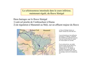 #
                                      2

     E!                       2
G6                $       !
%6            :                   :

              (       8           :


                                                                       !
                                              "        #

                                              "   $%           &


                                          '            (
                                                  !            )   *

                                                           +
                                                                   ,

                                                           -. /
 