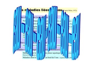 # $           " ! $"                            $% "
                                                       &                             5 $           X           GB6
                                                                                                                F%



:         $            5!                                                6
      )                                     E

                  LE        $
      Y                                 5                                                    6 !           5
                                                !            6   +           5       !             6
:             $ @       5!              !                                    6
              5                     6
                                            !   5                    6
      3           5@            E                       E5                   W           6



:                      5!                                            6
      )                     $                       5                                                            6


:                       5!                                                   6
      :                                                                                                !
              @
      :                                             !            $               @
 