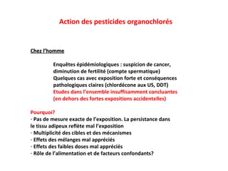 Action des pesticides organochlorés Chez l’homme Enquêtes épidémiologiques : suspicion de cancer,  diminution de fertilité (compte spermatique) Quelques cas avec exposition forte et conséquences  pathologiques claires (chlordécone aux US, DDT) Etudes dans l’ensemble insuffisamment concluantes  (en dehors des fortes expositions accidentelles) Pourquoi? Pas de mesure exacte de l’exposition. La persistance dans  le tissu adipeux reflète mal l’exposition Multiplicité des cibles et des mécanismes Effets des mélanges mal appréciés Effets des faibles doses mal appréciés R ôle de l’alimentation et de facteurs confondants? 