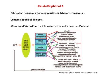 Cas du Bisphénol A Fabrication des polycarbonates, plastiques, biberons, conserves… Contamination des aliments Mime les effets de l’oestradiol; perturbation endocrine chez l’animal Vandenberg et al, Endocrine Reviews, 2009 