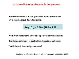 Corrélation entre la masse grasse des animaux terrestres et la toxicité aigu ë de de la dioxine. Log LD  50  = 5.30 x (TBF) - 3.22 Jandacek et al, 2005, Geyer et al, 1997, Lassiter et Hallam, 1990 Prédiction de la même corrélation pour les animaux marins Restriction calorique: relocalisation de certains polluants Toxicité due à des amaigrissements? Le tissu adipeux, protecteur de l’organisme 