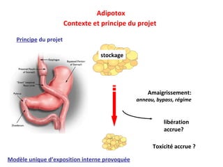 Adipotox Contexte et principe du projet   stockage Amaigrissement: anneau, bypass, régime libération accrue? Toxicité accrue ? Principe  du projet   Modèle unique d’exposition interne provoquée 