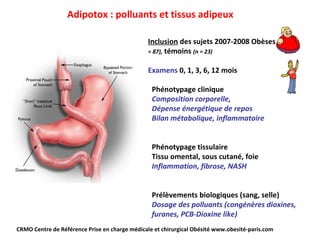 Adipotox : polluants et tissus adipeux Inclusion  des sujets 2007-2008 Obèses  (n = 87),  témoins  (n = 23) Examens  0, 1, 3, 6, 12 mois Phénotypage clinique  Composition corporelle,  Dépense énergétique de repos Bilan métabolique, inflammatoire Phénotypage tissulaire Tissu omental, sous cutané, foie Inflammation, fibrose, NASH Prélèvements biologiques (sang, selle) Dosage des polluants (congénères dioxines, furanes, PCB-Dioxine like) CRMO Centre de Référence Prise en charge médicale et chirurgical Obésité www.obesité-paris.com  