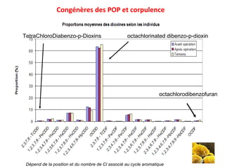 Congénères des POP et corpulence octachlorinated dibenzo-p-dioxin  octachlorodibenzofuran  Dépend de la position et du nombre de Cl associé au cycle aromatique  TetraChloroDiabenzo-p-Dioxins  