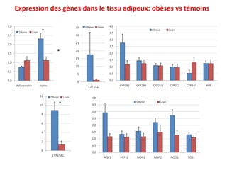 Expression des gènes dans le tissu adipeux: obèses vs témoins * 