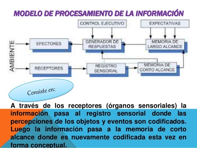 Robert gagné procesamiento de la información