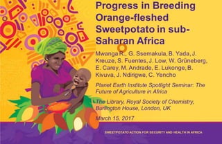 The Sweetpotato Action for Security and
Health in Africa (SASHA) is a five-year
initiative designed to improve the food security
and livelihoods ofpoor families in Sub-
Saharan Africa by exploiting the untapped
potential of sweetpotato.It will develop the
essential capacities,products,and methods to
reposition sweetpotato in food economies of
Sub-Saharan African countries to alleviate
poverty and under-nutrition.
Progress in Breeding
Orange-fleshed
Sweetpotato in sub-
Saharan Africa
Mwanga R., G. Ssemakula,B. Yada,J.
Kreuze, S. Fuentes,J. Low, W. Grüneberg,
E. Carey, M. Andrade, E. Lukonge,B.
Kivuva, J. Ndirigwe, C. Yencho
Planet Earth Institute Spotlight Seminar: The
Future of Agriculture in Africa
The Library, Royal Society of Chemistry,
Burlington House, London, UK
March 15, 2017
SWEETPOTATO ACTION FOR SECURITY AND HEALTH IN AFRICA
 