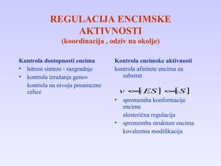 REGULACIJA ENCIMSKE AKTIVNOSTI (koordinacija , odziv na okolje) Kontrola dostopnosti encima hitrost sinteze - razgradnje kontrola izražanja genov kontrola na nivoju posamezne celice Kontrola encimske aktivnosti  kontrola afinitete encima za substrat sprememba konformacije encima alosterična regulacija sprememba strukture encima kovalentna modifikacija 