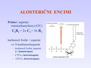 ALOSTERIČNI  ENCIMI Primer : aspartat-transkarbamoilaza (ATC)   C 6 R 6  = 2x  C 3   + 3x  R 2 karbamoil fosfat + aspartat    N - karbamoilaspartat karbamoil fosfat, aspartat  (+, homotropna ) CTP  (-, heterotropna) ATP  (+, heterotropna) 