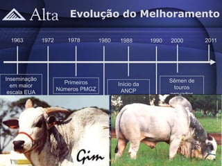 Evolução do Melhoramento

 1963         1972      1978        1980    1988           1990   2000       2011




Inseminação                                                       Sêmen de
                       Primeiros           Início da
  em maior                                                         touros
                     Números PMGZ           ANCP
 escala EUA                                                       provados


          Inseminação           Inseminação            Publicação de
            no Brasil          Zebu no Brasil            Sumários
 