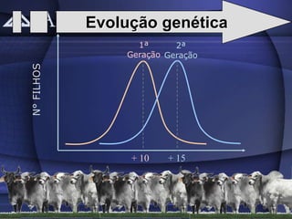 Evolução genética
                  1ª      2ª
                Geração Geração
N° FILHOS




                 + 10   + 15
 